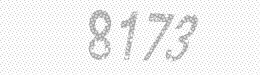 Visual security code — type the characters shown in the image