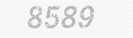 Visual security code — type the characters shown in the image